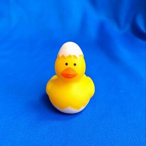 #4 Duck For Duck Duck Plushie Game